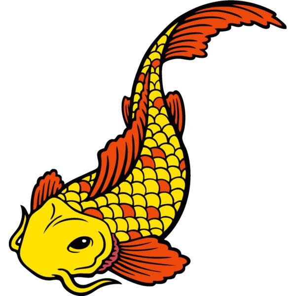 es2asiankoi001clr Thumbnail