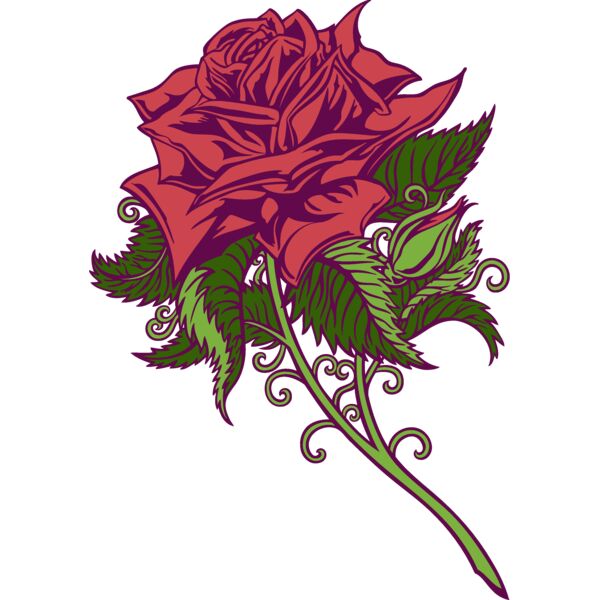 es2rose008clr Thumbnail