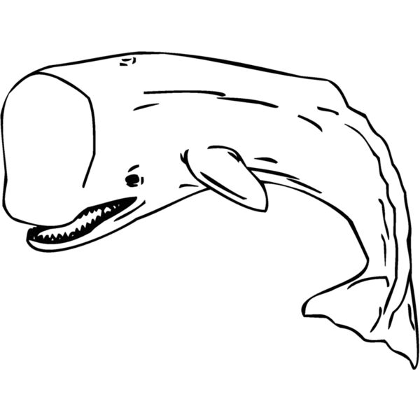whale Thumbnail