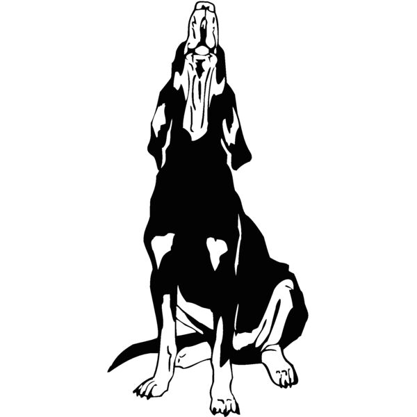 coonhound Thumbnail