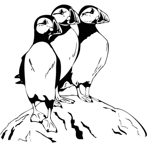 atlantic paraffins Thumbnail