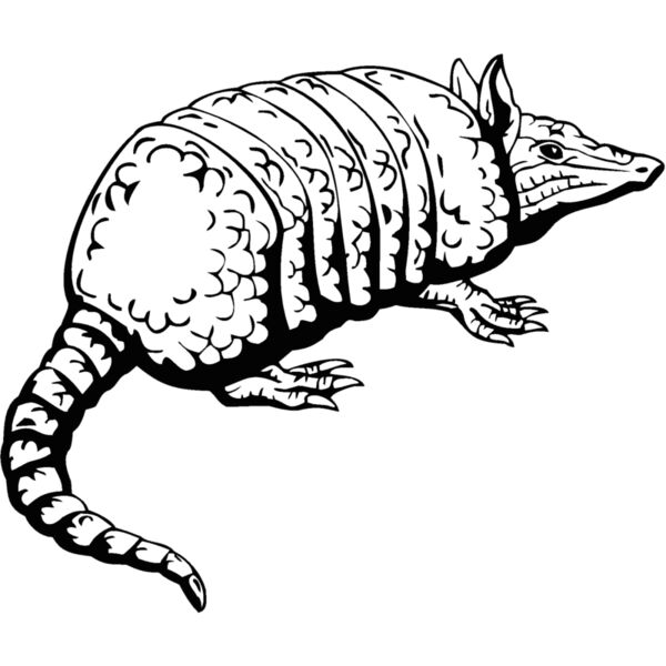 armadillo1 Thumbnail