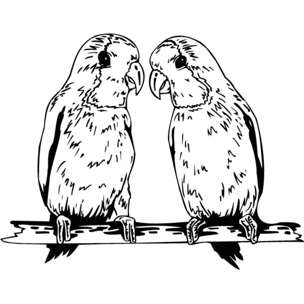 lovebirds Thumbnail