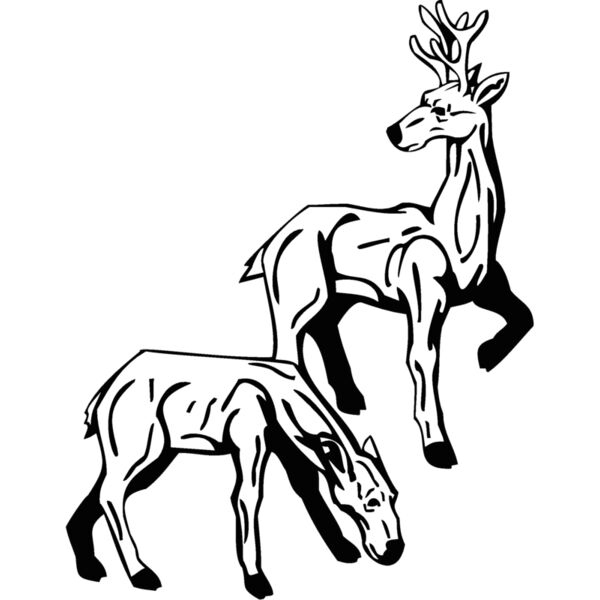 deer4 Thumbnail