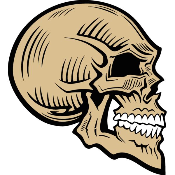 es2skull025clr Thumbnail