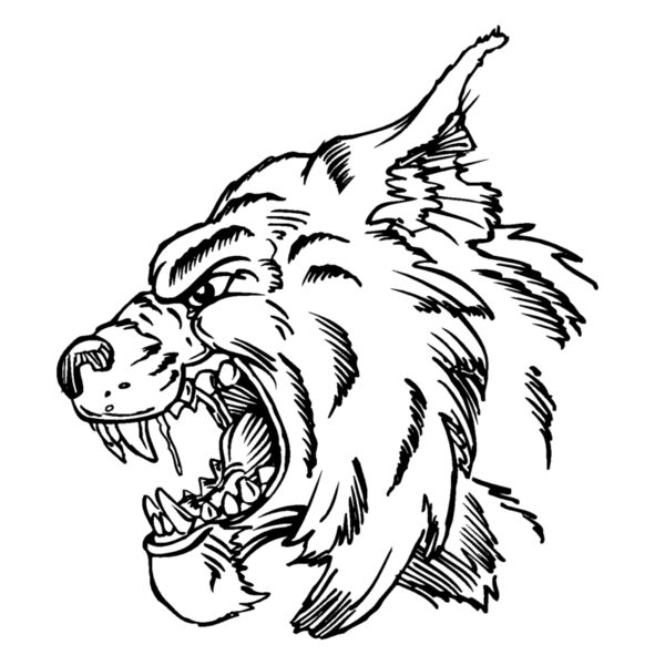 wildcathead03 Thumbnail