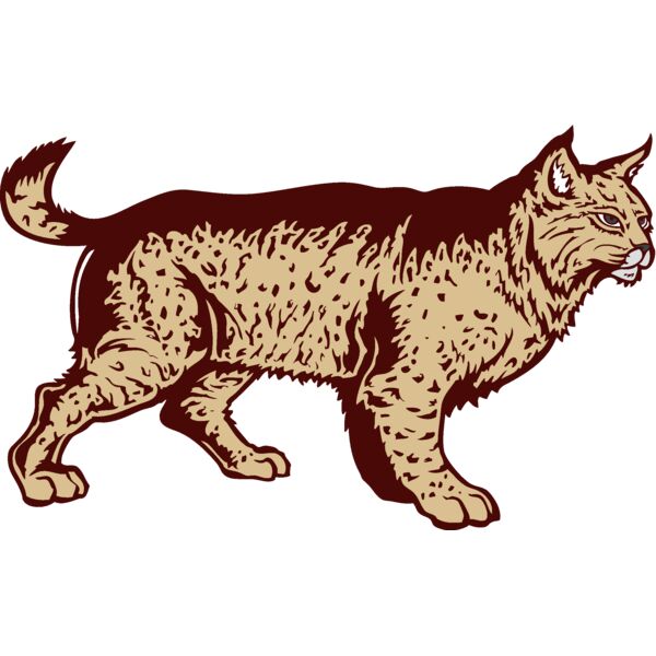 wildcatj022 Thumbnail