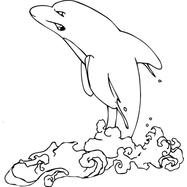 dolphinjumping Thumbnail