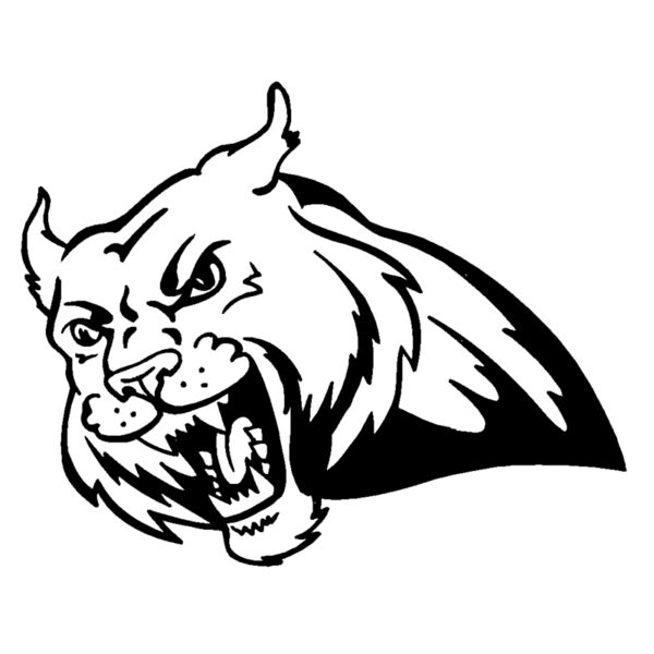 bobcathead01 Thumbnail