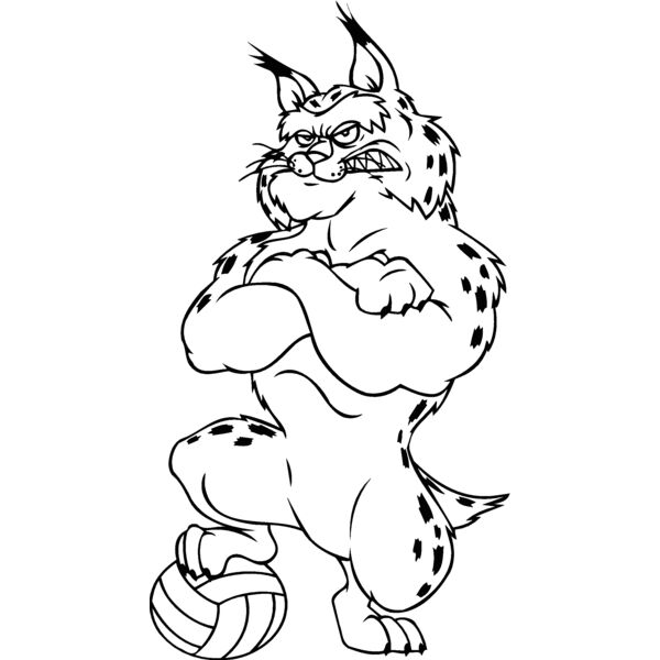 bobcatvllyblbns Thumbnail