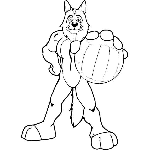 dogvolleyball Thumbnail