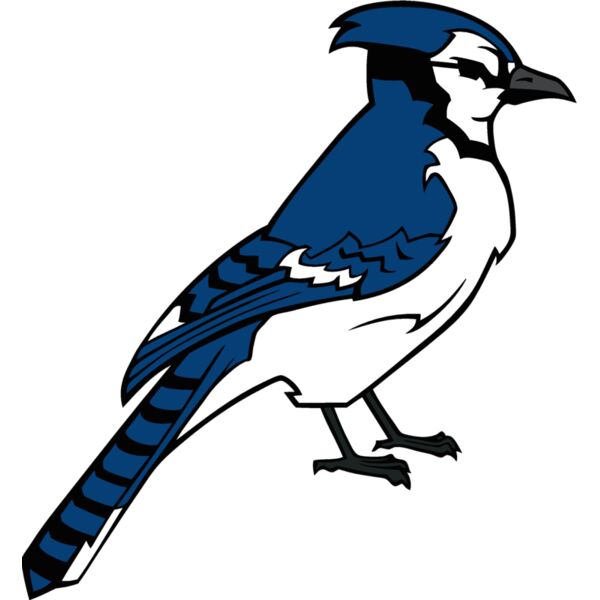 bluejay12 Thumbnail