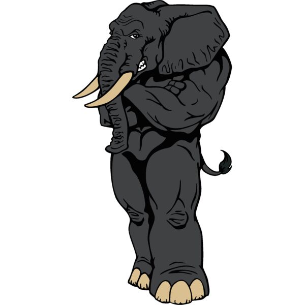 elephant04 Thumbnail