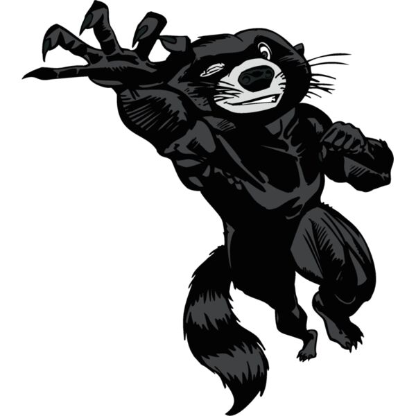 raccoon2 Thumbnail